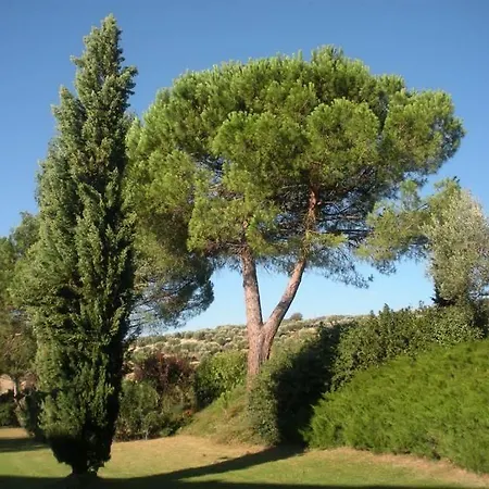 Casale Della Staffa *