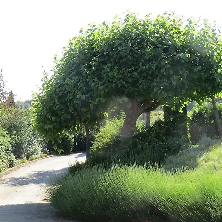 Apartamento Casale Della Staffa Magione