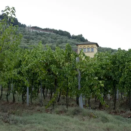 Casale Della Staffa